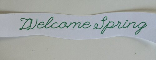 Spring Craft 7