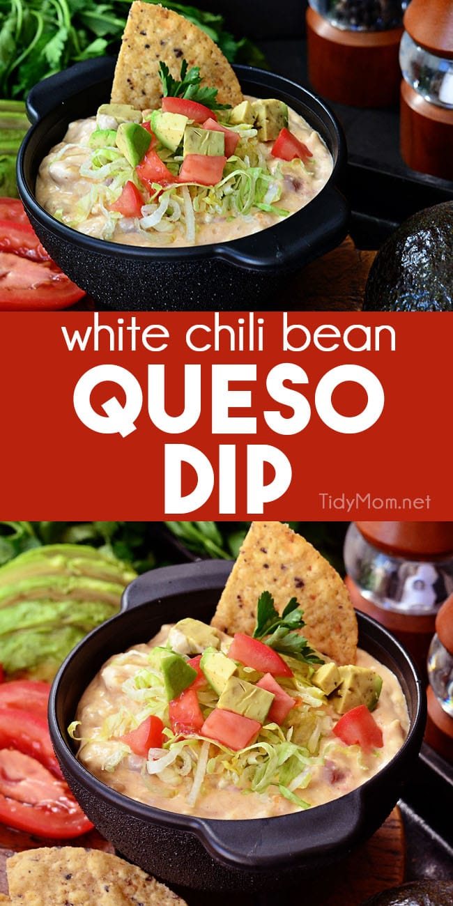 white chili bean queso dip in black Molcajete bowl