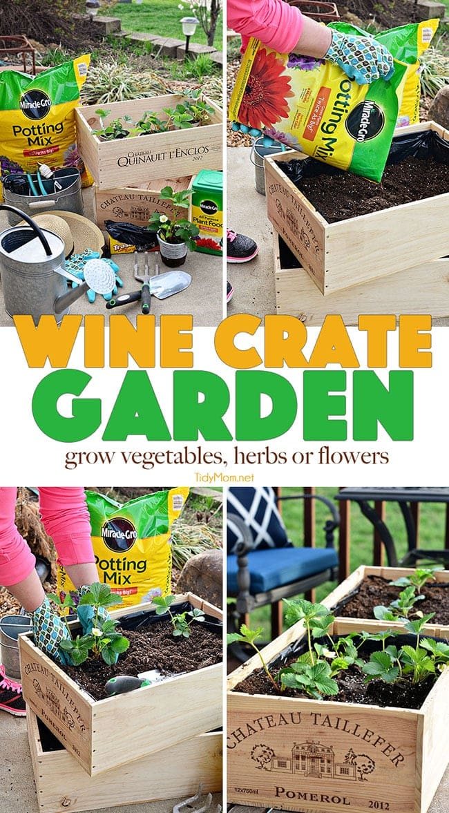 Vegetables, herbs and flowers can thrive in wine boxes—or in other crates. Wine box planters are great for small space gardens. Get step-by-step tutorial for a wine crate garden at cetcu.com