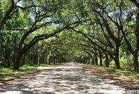 Uncovering Savannah’s Treasures