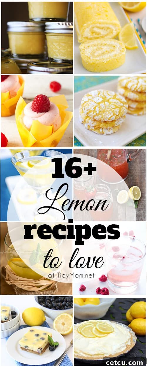 16+ Lemon Recipes to make and love at TidyMom.net - A comprehensive graphic showcasing various lemon-themed treats and drinks.