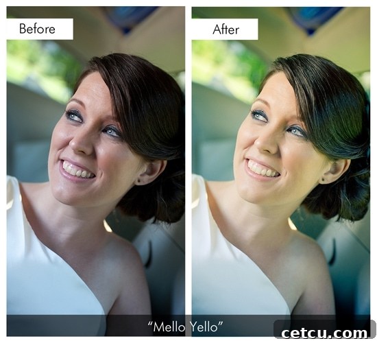 Example of Melloyello preset applied to a photograph