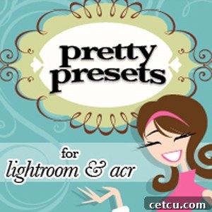 Pretty Presets logo emphasizing quality editing