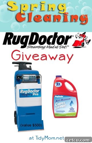 Rug Doctor Giveaway at TidyMom