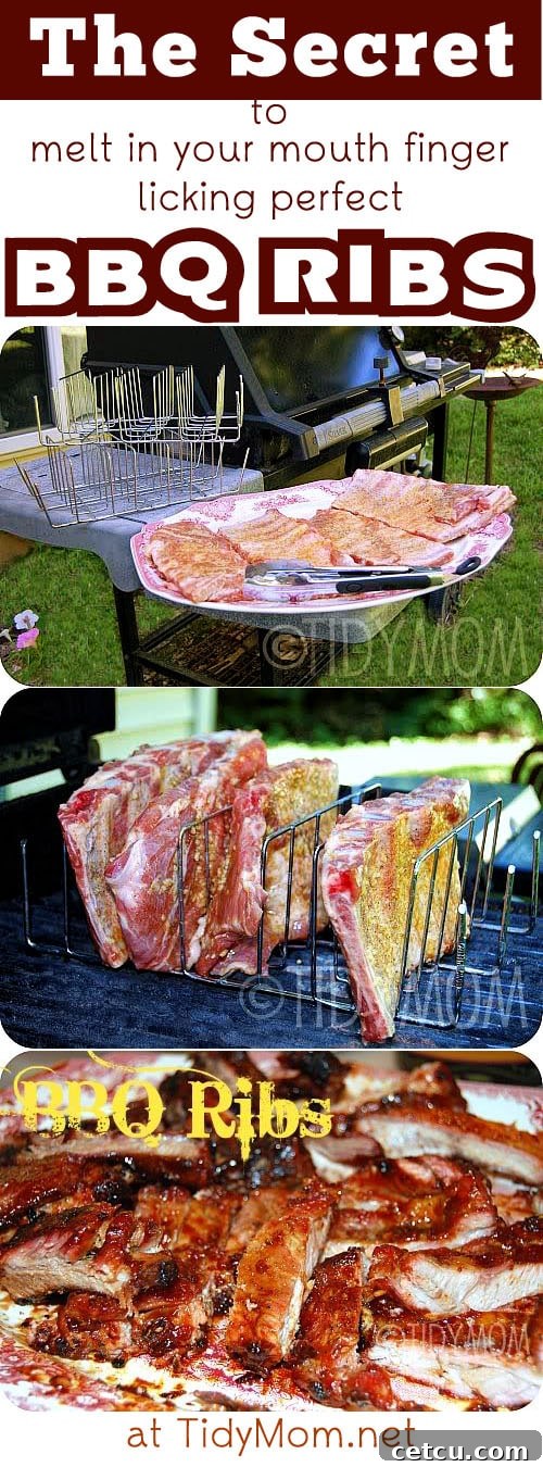 The Secret to Melt in Your Mouth, Finger Licking Perfect BBQ RIBS! at TidyMom