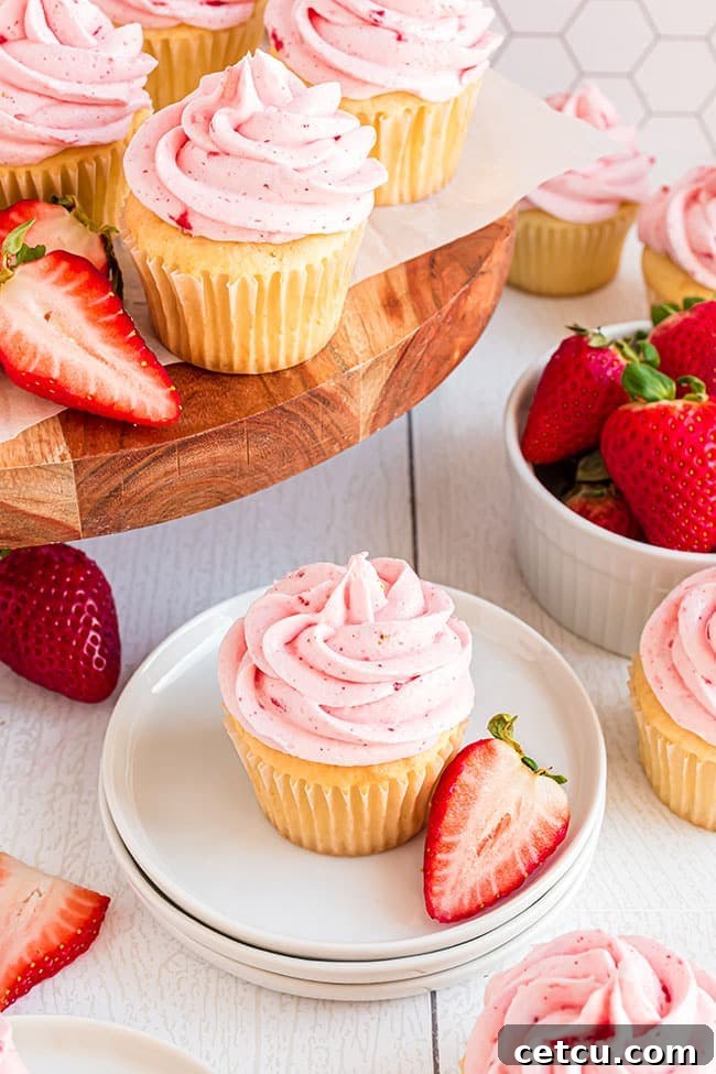 vanilla cupcakes with pink frosting on a white plate