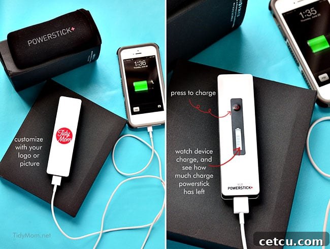Portable, customized Charges from Powerstick.com | more info at TidyMom.net