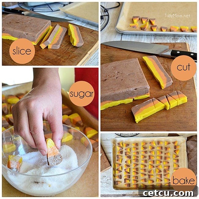 Slicing layered cookie dough for homemade fall cookies