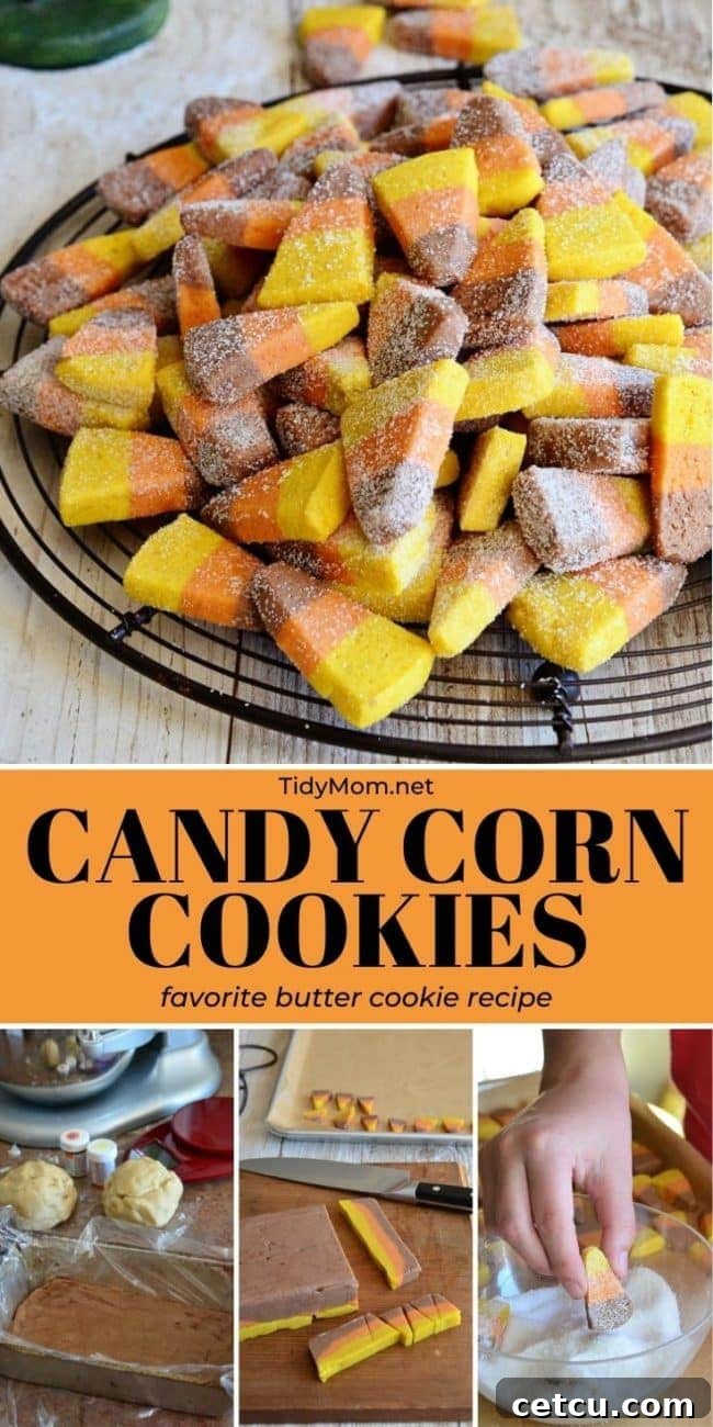 Photo collage of various fall holiday cookies on a tray