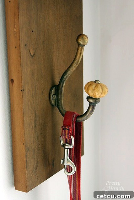 Dog leash neatly hanging on the reclaimed wood sconce hook