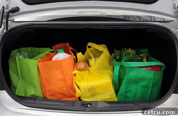 Tips on how to be more green at TidyMom.net - stop using disposable bags, buy eco-friendly bags.