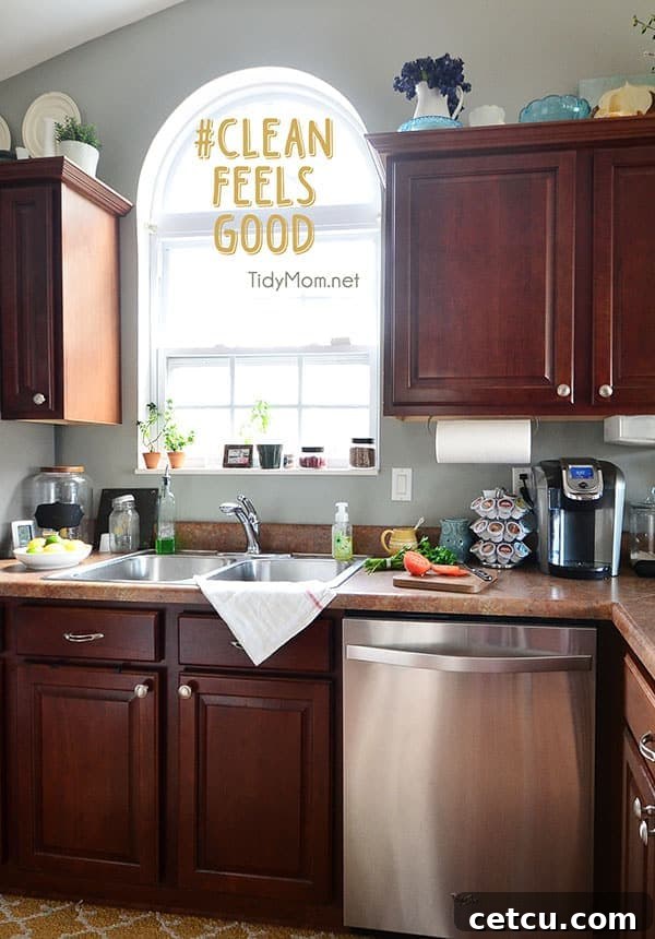 Experience the joy of a clean kitchen with TidyMom.net's tips – because clean feels good!