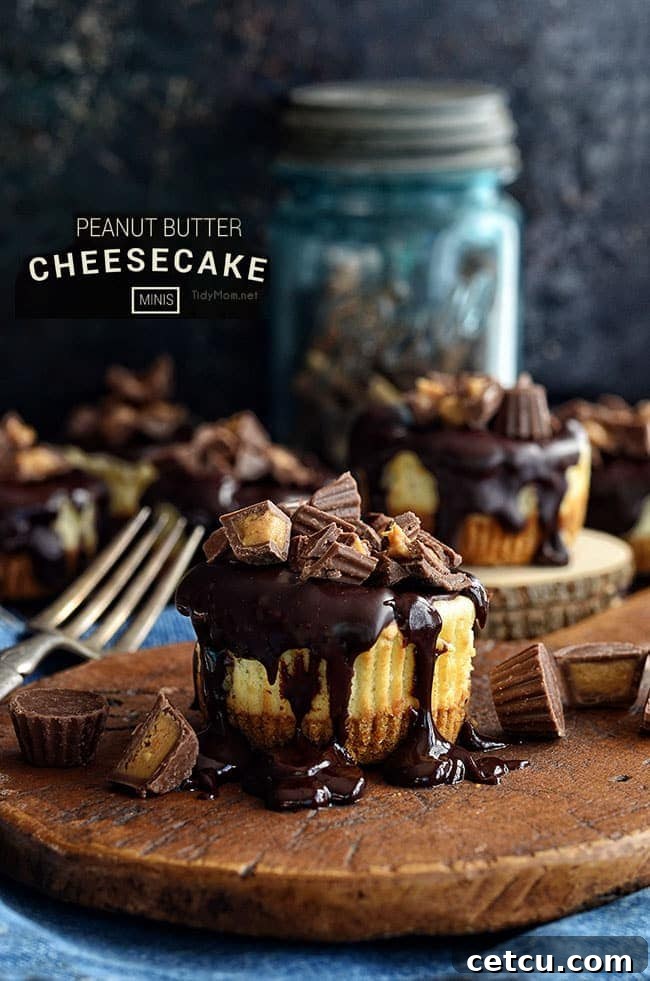 Delicious and easy Mini Peanut Butter Cheesecakes recipe from TidyMom.net – perfect for any occasion!