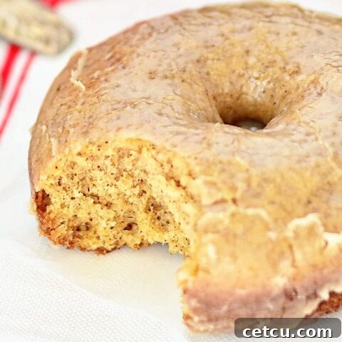 Apple Cider Donuts 