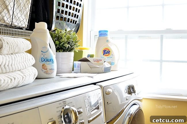 Collection of Free & Gentle laundry products including detergent, fabric softener, and dryer sheets, emphasizing their dye- and perfume-free formula.