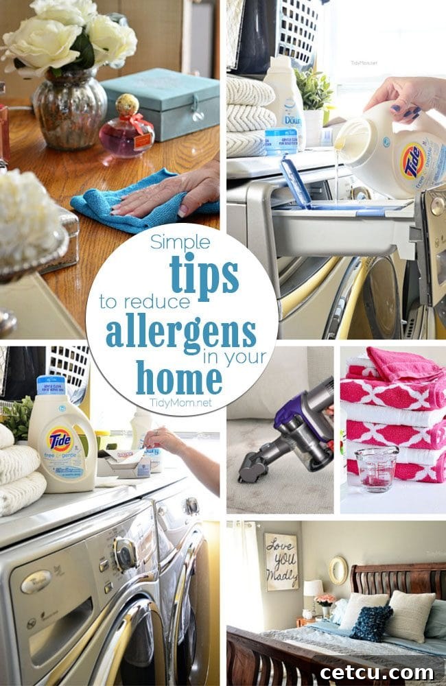 Limit the effect allergens have on your family by utilizing these 6 simple tips to reduce allergens in your home without breaking the bank. A collage of images related to clean living.