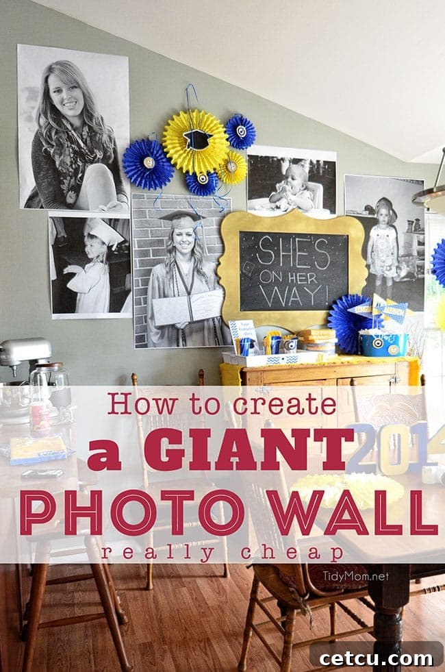 Create a GIANT, Inexpensive Photo Wall for Parties - Perfect for Graduation, Birthdays, and Showers