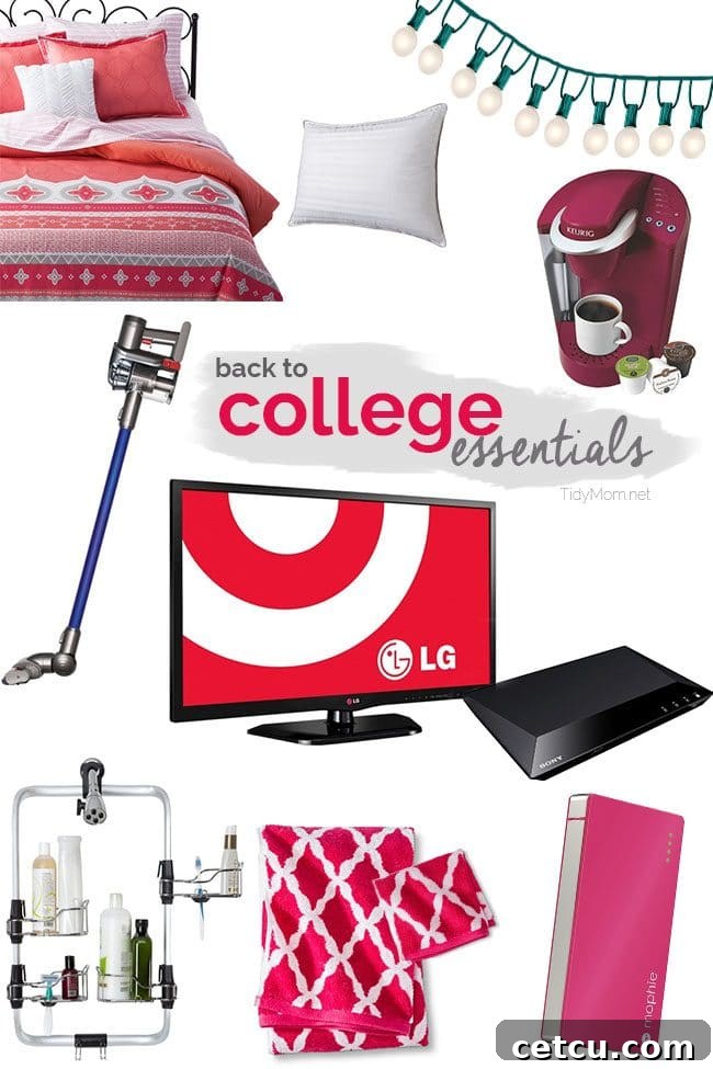 Back to College Essentials: A Comprehensive List for Graduates