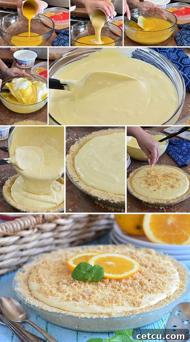 A snapshot of the Frozen Creamsicle Pie recipe details, perfect for printing and keeping handy in your kitchen.