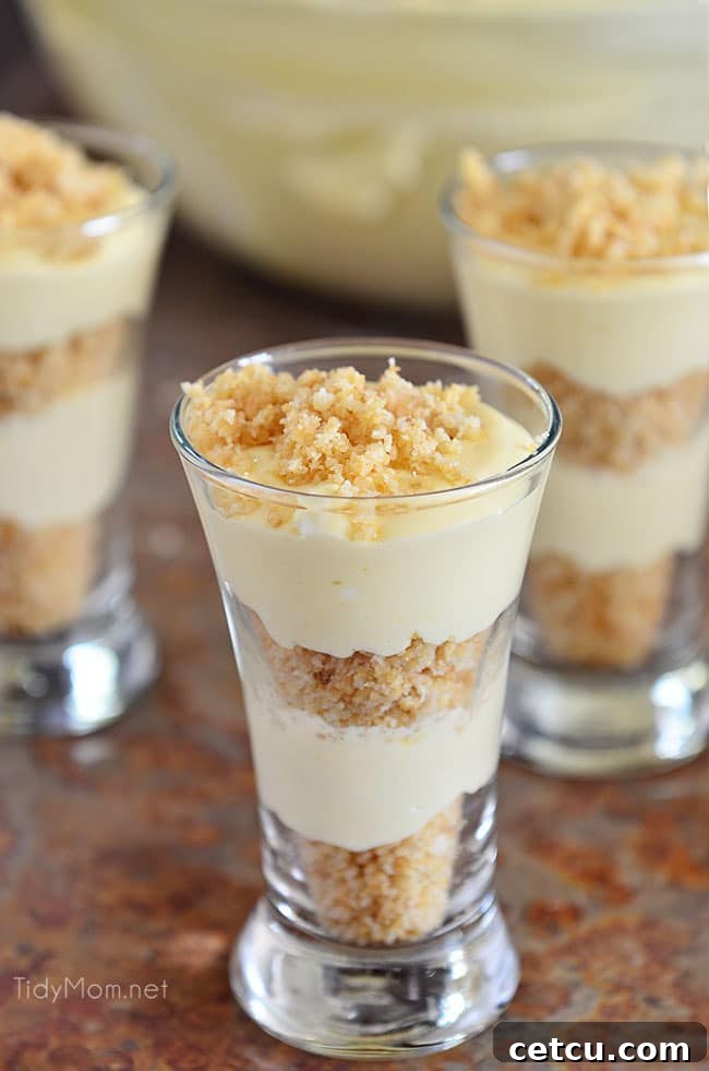 Adorable mini Creamsicle Pie Shooters, made with leftover crust and filling, showcasing individual servings for a quick treat.