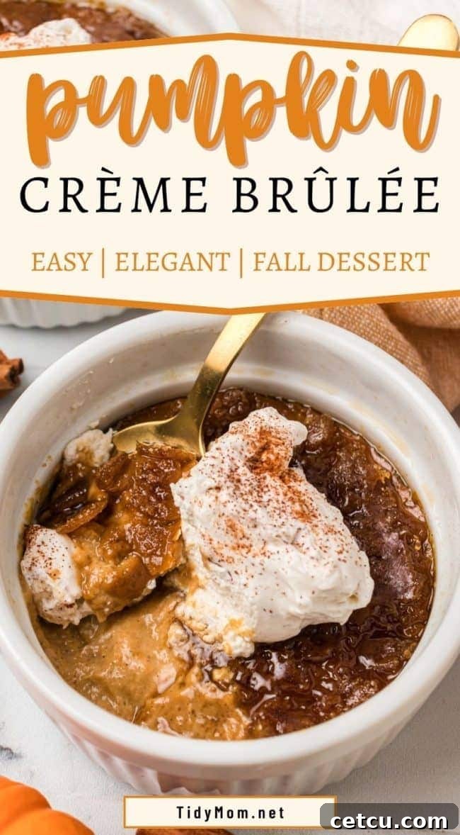 A single serving of Pumpkin Crème Brûlée, beautifully presented with a dollop of whipped cream and a light dusting of cinnamon, inviting a taste.