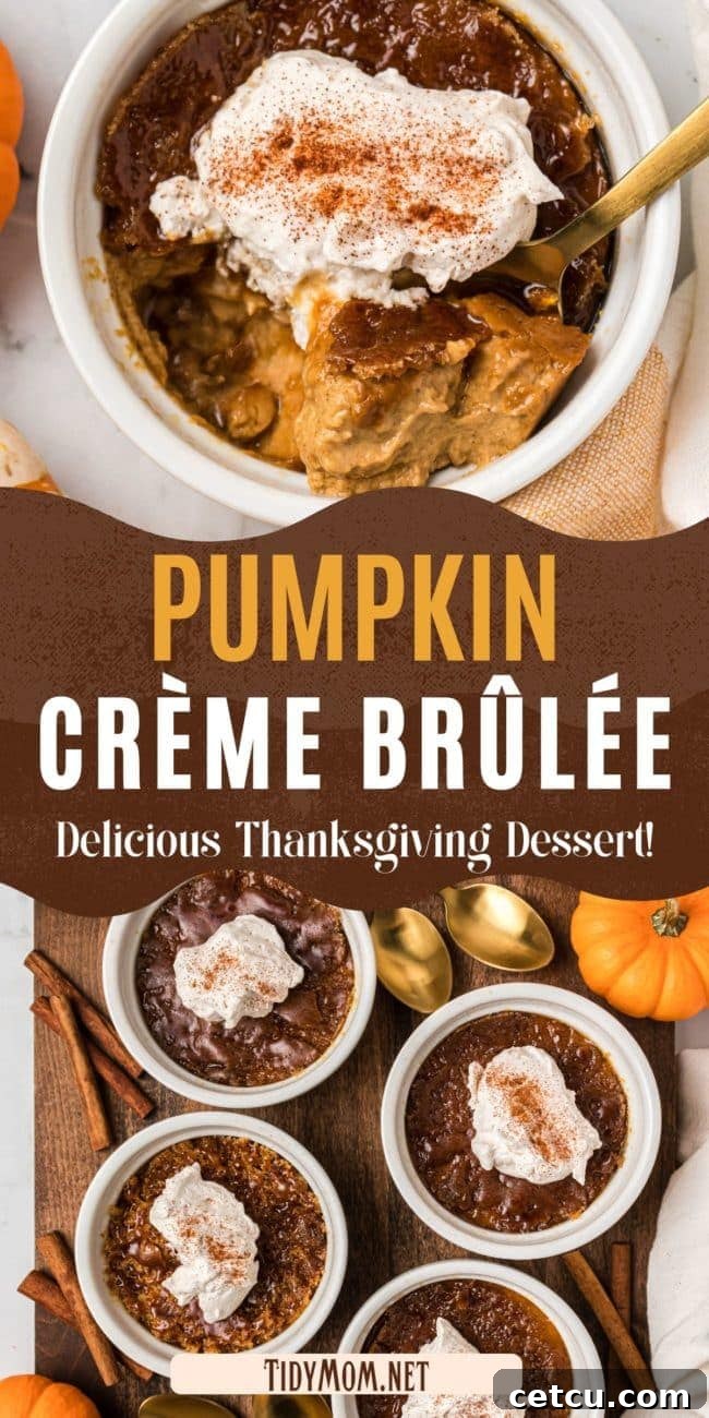 An overhead shot of Pumpkin Crème Brûlée garnished with whipped cream, looking festive and delicious.
