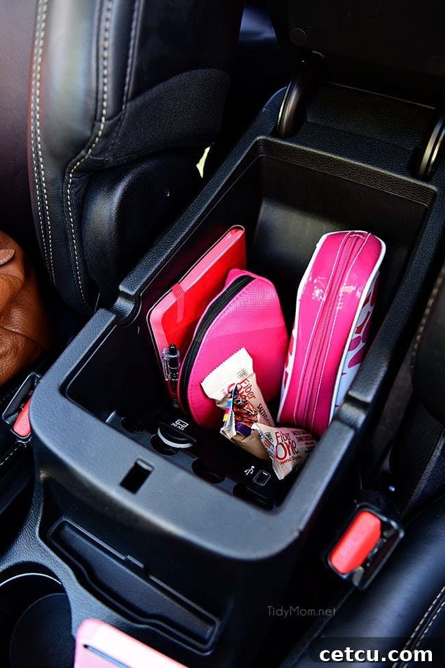 Organized car center console with small bags