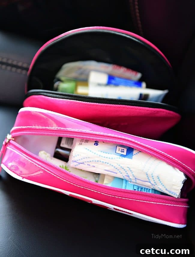 Small organizational bags inside a car console