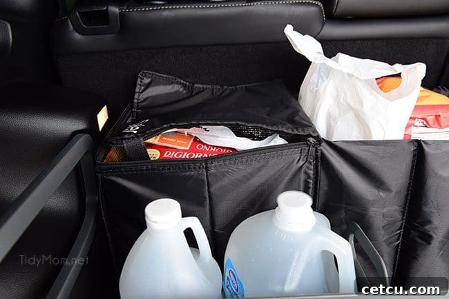 Insulated compartments in a car trunk organizer