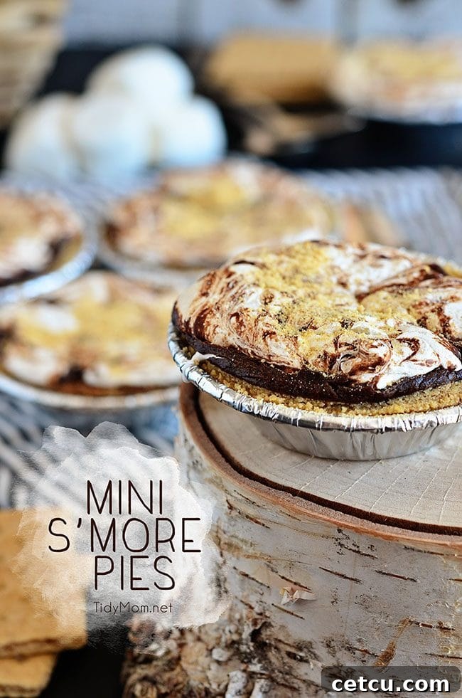 Mini S’mores Pies, a fun and easy individual dessert for entertaining