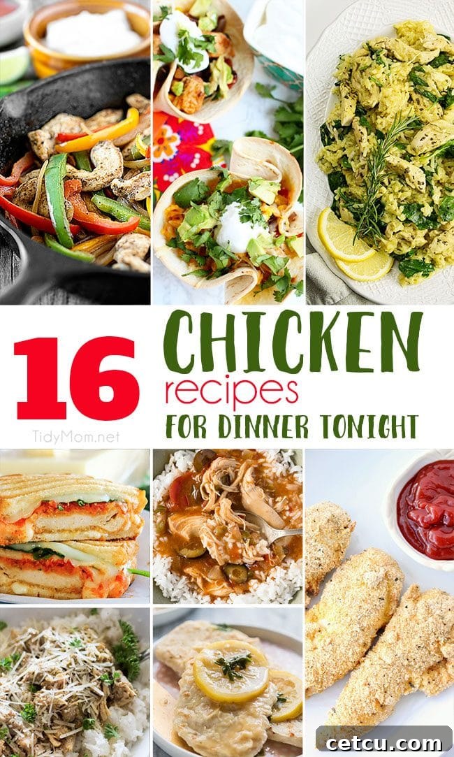 A vibrant collage of various delicious chicken dishes, showcasing the incredible versatility of chicken for weeknight dinners. Features include sheet pan fajitas, mini taco bites, creamy risotto, gourmet sandwiches, and comforting casseroles.