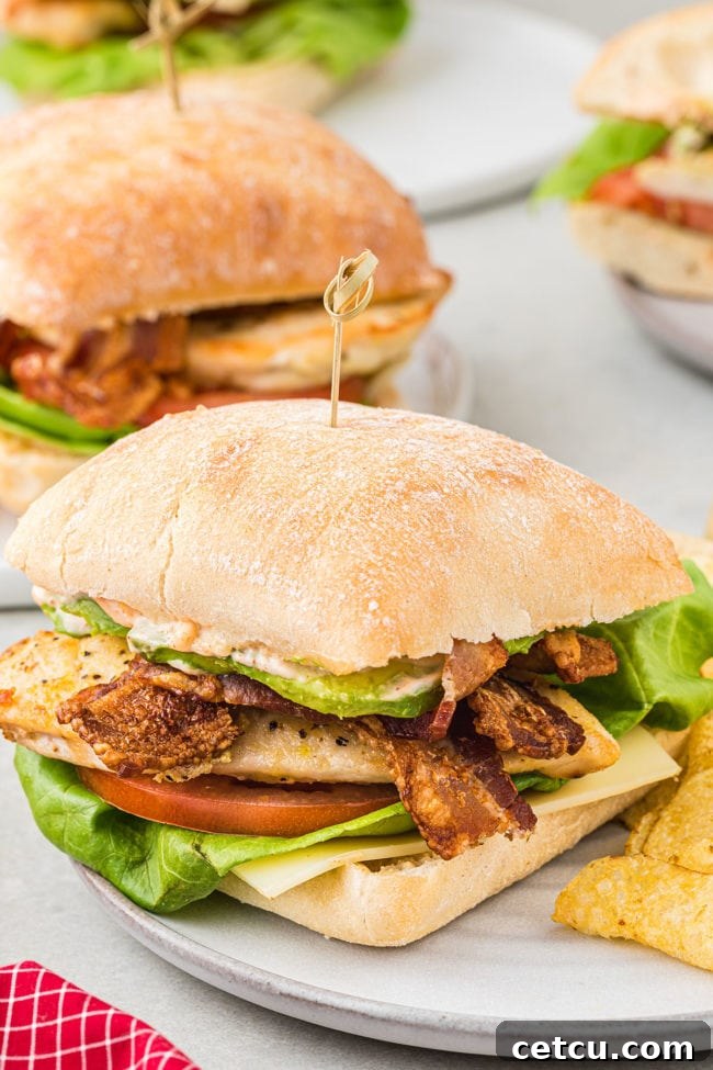 A delicious California Chicken Club Sandwich artfully arranged on a white plate, featuring layers of tender chicken, crispy bacon, fresh avocado, ripe tomato, and dijonnaise, all nestled within a soft ciabatta roll.