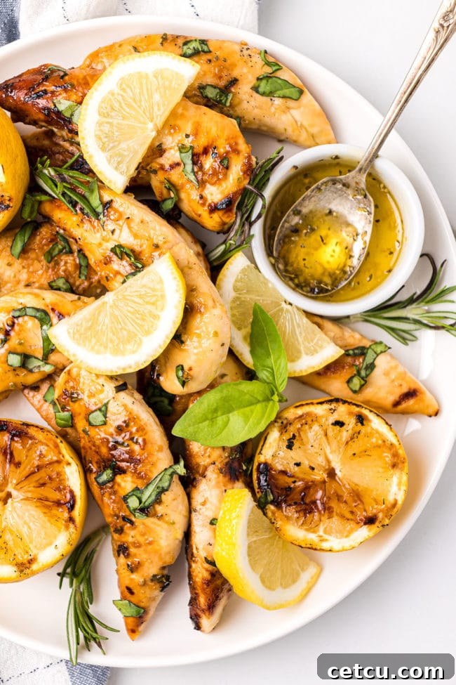 Perfectly grilled chicken tenders garnished with fresh lemon slices, vibrant rosemary sprigs, and fragrant basil leaves on a white plate, ready to be served as a healthy and flavorful meal.