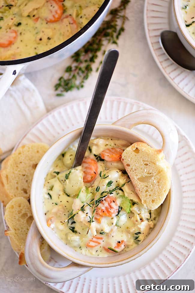 A beautifully presented white bowl filled with creamy chicken gnocchi soup, garnished with fresh parsley and a spoon resting inside, ready to be enjoyed.