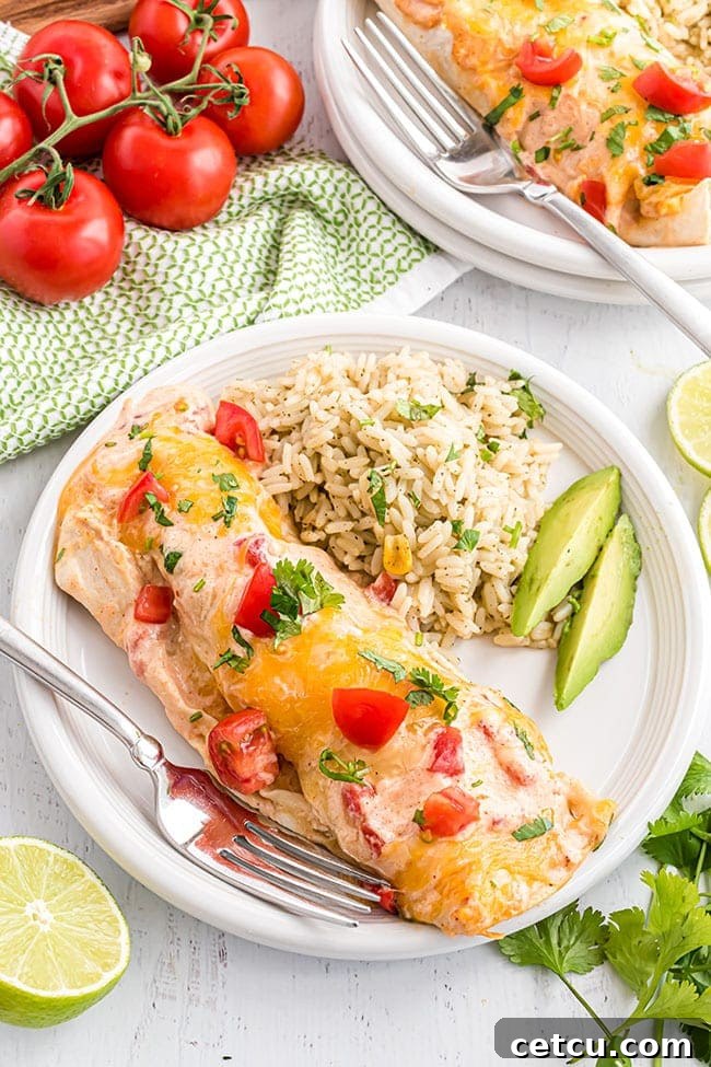 Easy Chicken and Cheese Enchiladas generously topped with melted cheese, served on a white plate alongside fluffy rice and fresh avocado slices, presenting a perfect family meal.