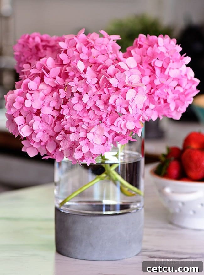 Discover expert hydrangea care tips for keeping a healthy, long-lasting arrangement. Learn how to nourish your cut flowers and prevent bacterial growth in your vase.