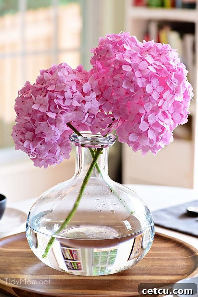 Additional helpful tips for arranging hydrangeas. Learn about avoiding overcrowding in vases and the importance of regularly changing water for longer lasting blooms.
