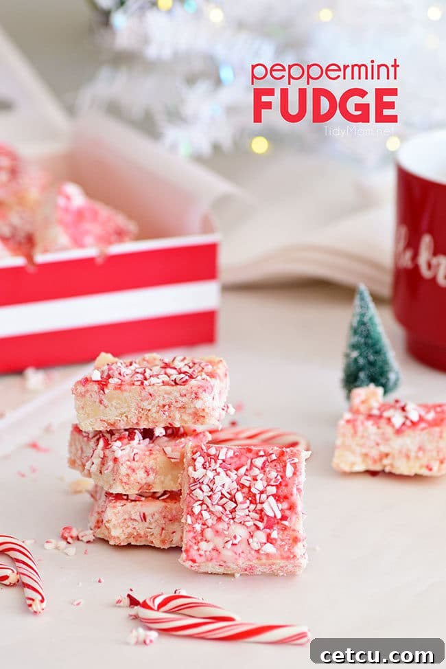 Cooked in the microwave, this easy Peppermint Fudge is a sweet addition to any holiday gathering. Perfect when you need a quick treat for a party, cookie tray or neighbor gifts. Printable recipe at TidyMom.net #fudge #peppermint #candycane #microwavefudge #christmas #christmasfudge Festive Peppermint Fudge gift boxed with a bow, ready for holidays