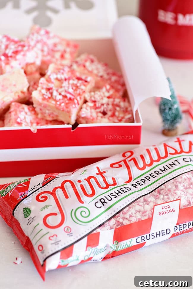 Effortless Peppermint Fudge 3 Close-up of Peppermint Fudge with visible crushed candy cane candies