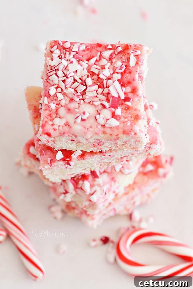Effortless Peppermint Fudge 4 Peppermint Fudge squares arranged with whole candy canes for decoration