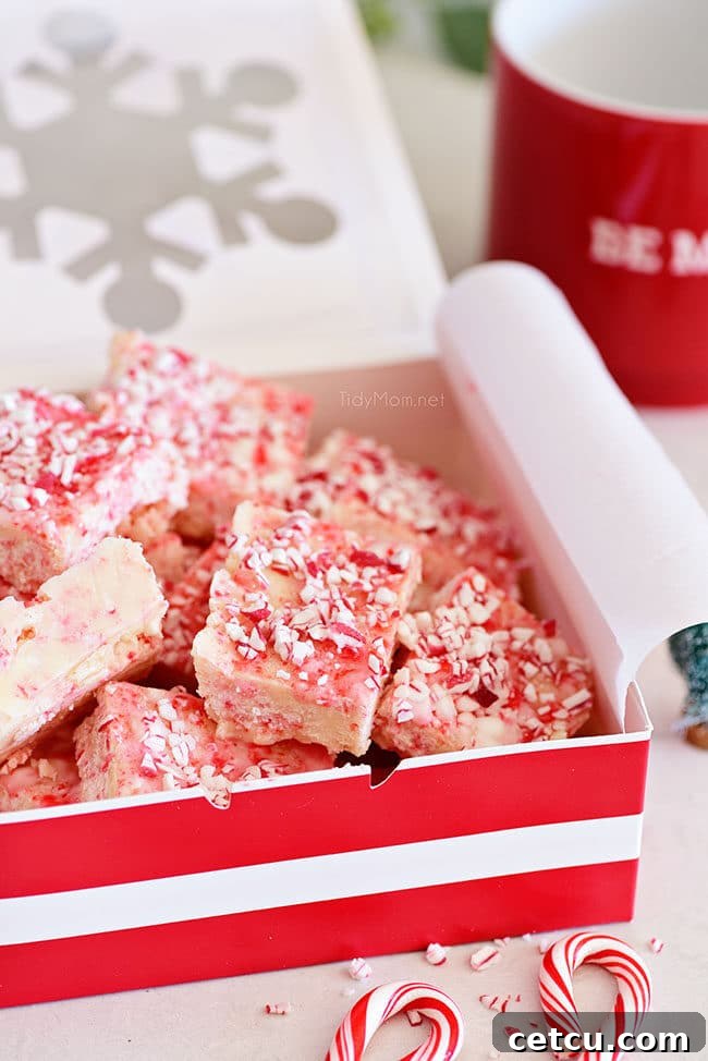 Effortless Peppermint Fudge 5 Peppermint Fudge pieces gift boxed with festive ribbon