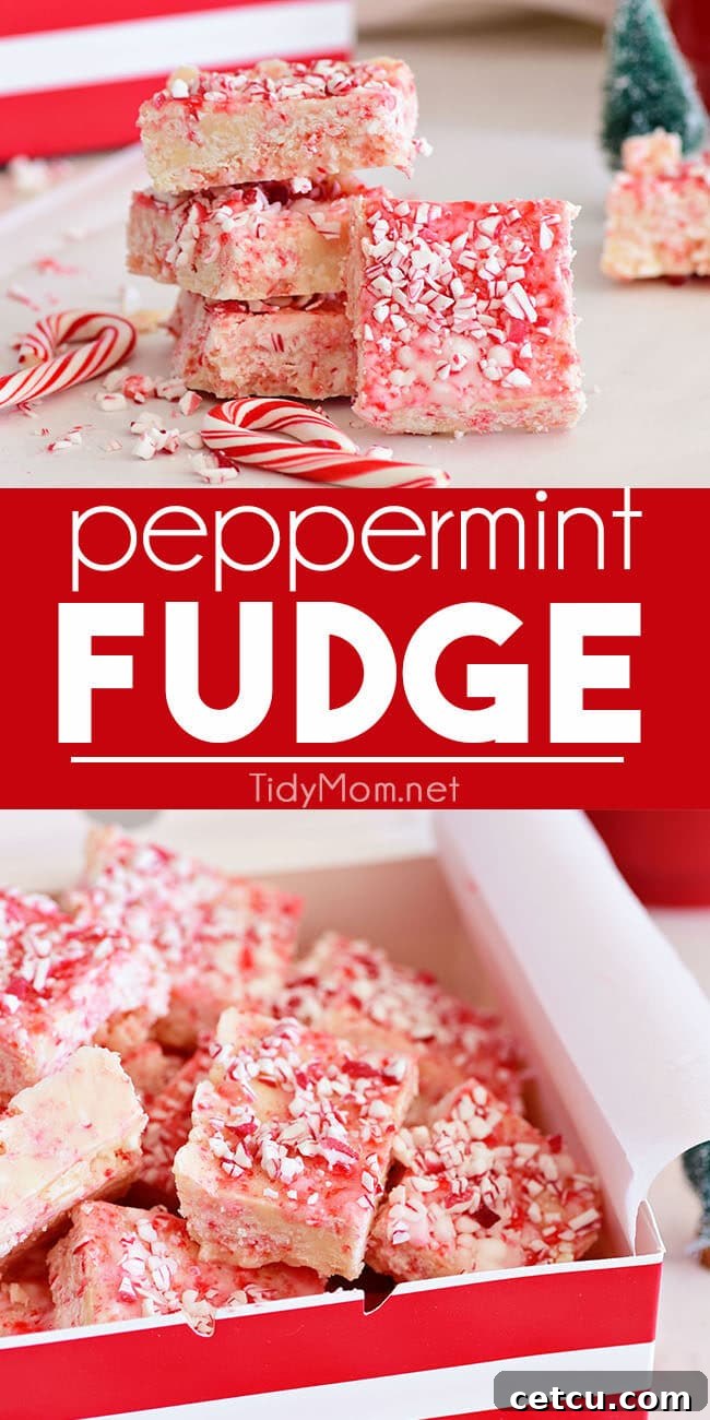 Cooked in the microwave, this easy Peppermint Fudge is a sweet addition to any holiday gathering. Perfect when you need a quick treat for a party, cookie tray or neighbor gifts. Printable recipe at TidyMom.net #fudge #peppermint #candycane #microwavefudge #christmas #christmasfudge Peppermint Fudge photo collage with various angles and presentation styles