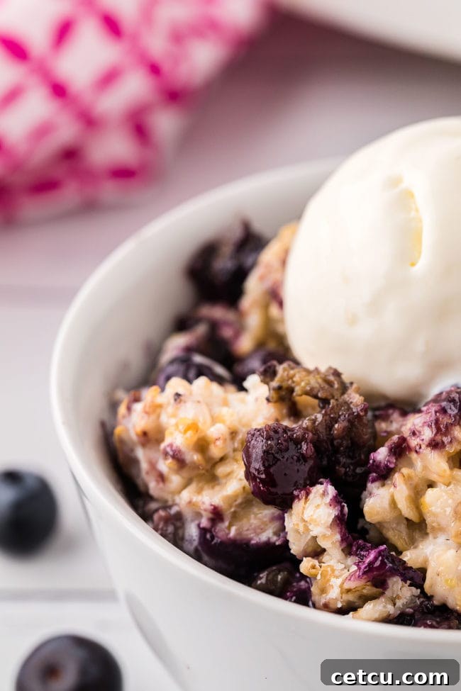 bowl of blueberry crisp with ice cream