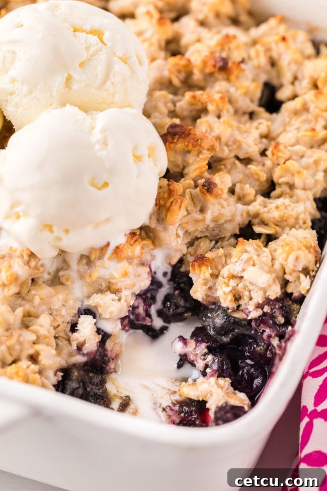 baking dish with warm blueberry crisp topped with vanilla ice cream