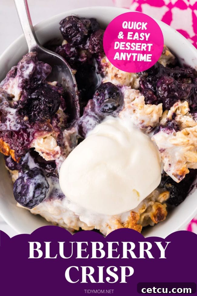 bowl of berry crips with ice cream and a spoon