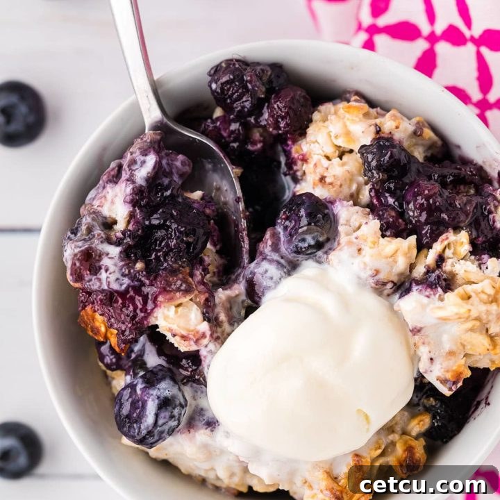warm bowl of fruit crisp with oat topping and a scoop of ice cream
