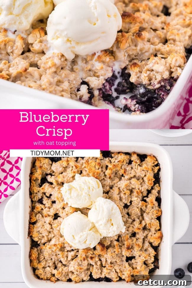 berry crisp photo collage