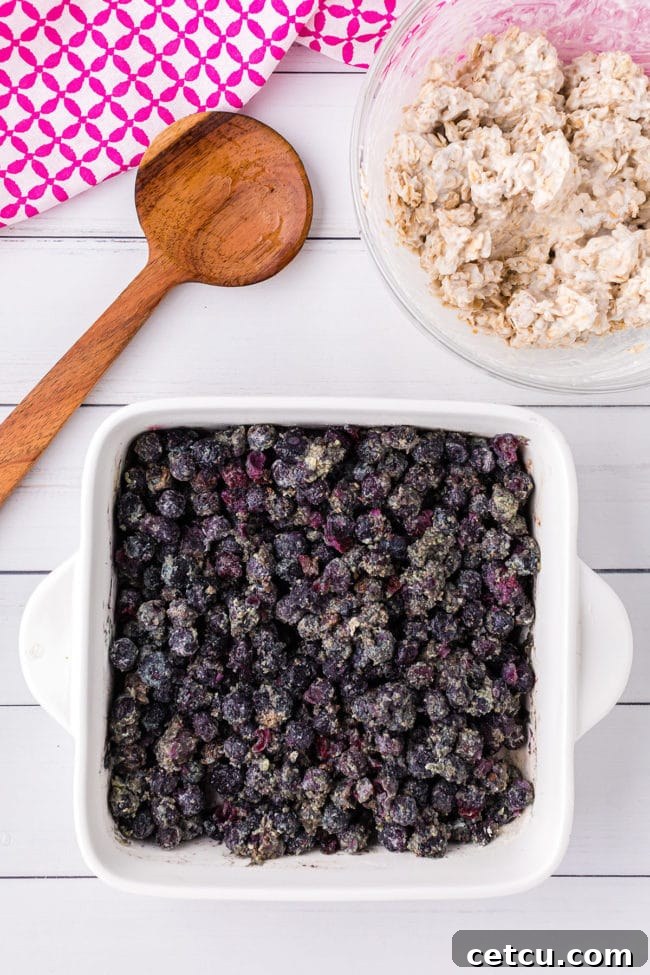 frozen blueberries in white baking dish
