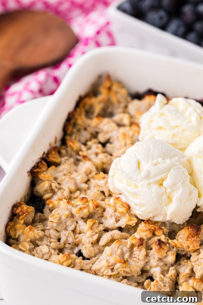 blueberry crisp with oats in a baking dish topped with ice cream