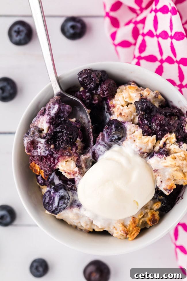 warm bowl of fruit crisp with oat topping and a scoop of ice cream
